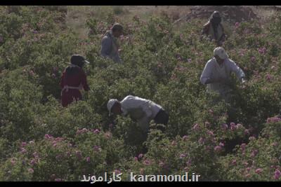 مستند ایران زاد به کاشان و اصفهان رسید