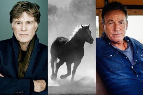 فیلم بعدی رابرت ردفورد معرفی گردید