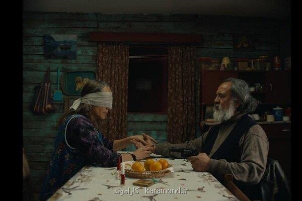 معرفی برنده های جایزه نوعی نگاه کن ۲۰۲۵ جایزه اصلی به شیلی رفت