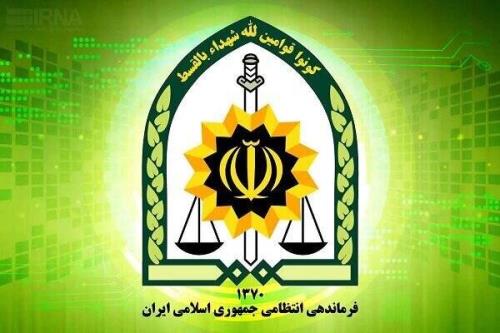 توضیح پلیس درباره ی بازداشت یکی از بازیگران معروف
