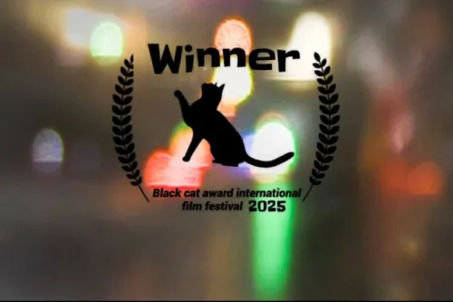 رویای نور و سایه از گربه سیاه بولیوی جایزه گرفت