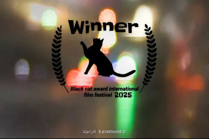 رویای نور و سایه از گربه سیاه بولیوی جایزه گرفت