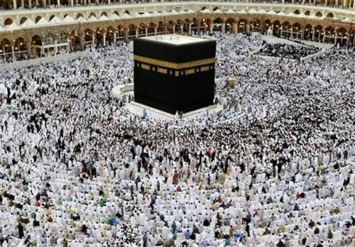 خدمات رسانی به ۳۰ هزار زائر ایرانی در حج ۱۴۰۵