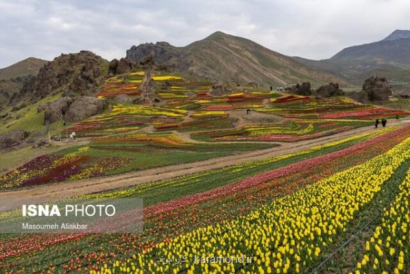 بازدید عمومی از لاله های كندر متوقف گردید