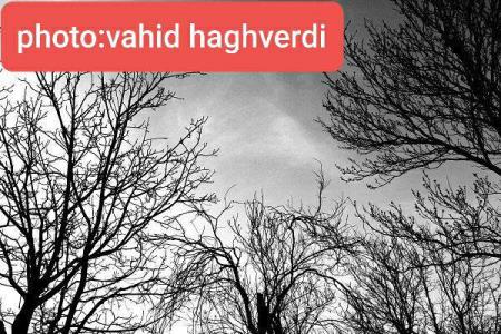 به دنبال نمایش اهمیت طبیعت بودم