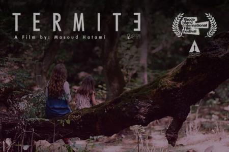 حضور موریانه ایرانی در آمریكا