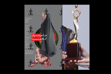 جایزه بهترین فیلمنامه لیفت ایندیا برای جایی در بین گاوها