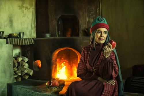 نازنین فراهانی بازیگر سریال مستوران شد